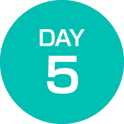DAY 5