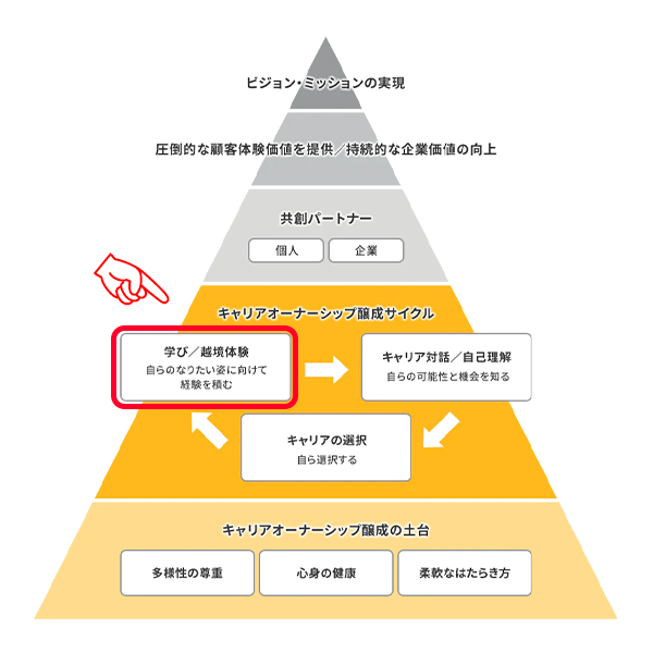 ピラミッド図学び／越境体験