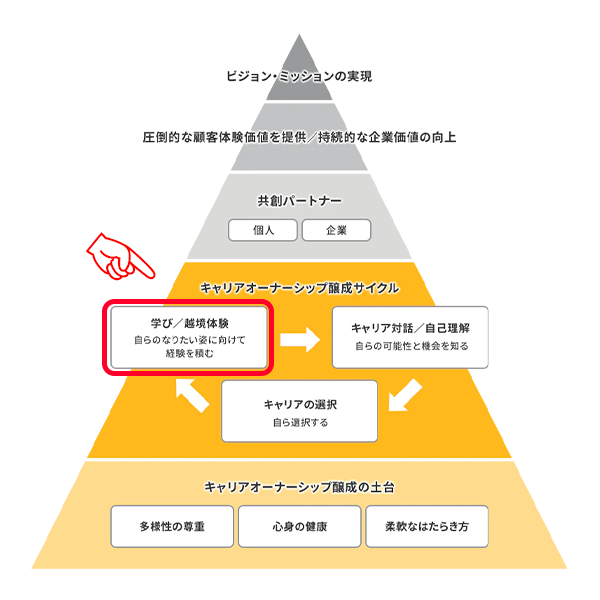 ピラミッド図学び/越境体験