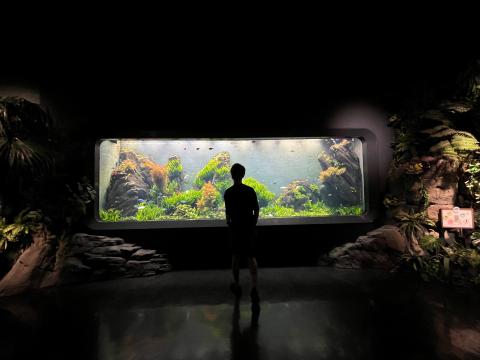 川嵜さん水族館