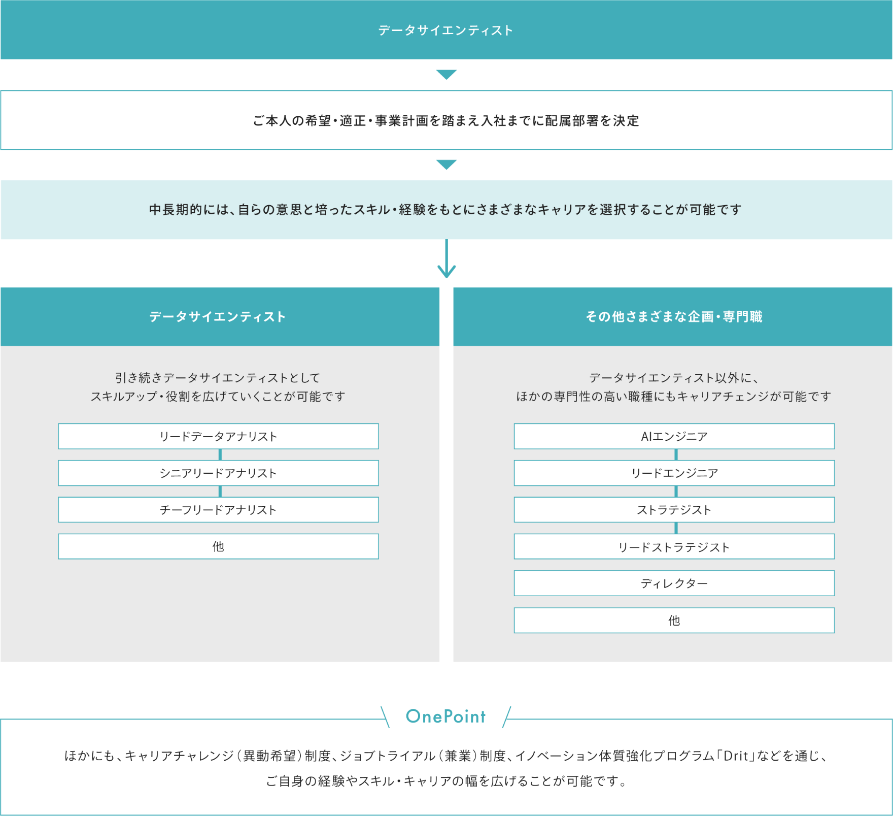 データサイエンティストのキャリアパス図。ご本人の希望・適性・事業計画を踏まえ入社までに配属部署を決定します。中期的には、自らの意思と培ったスキル・経験をもとにさまざまなキャリアを選択することが可能です。データサイエンティストとしてスキルアップ・役割を広げ、リードデータアナリスト・シニアデータアナリスト・チーフデータアナリストを目指す、または、その他さまざまな企画・専門職で、データサイエンティスト以外のほかの専門性の高い職種（AIエンジニア・リードエンジニア・ストラテジスト・リードストラテジスト・ディレクターなど）にもキャリアチェンジが可能です。また、このほかにも、キャリアチャレンジ（異動希望）制度、ジョブトライアル（兼業）制度、イノベーション体質強化プログラム「Drit」などを通じ、ご自身の経験やスキル・キャリアの幅を広げることが可能です。