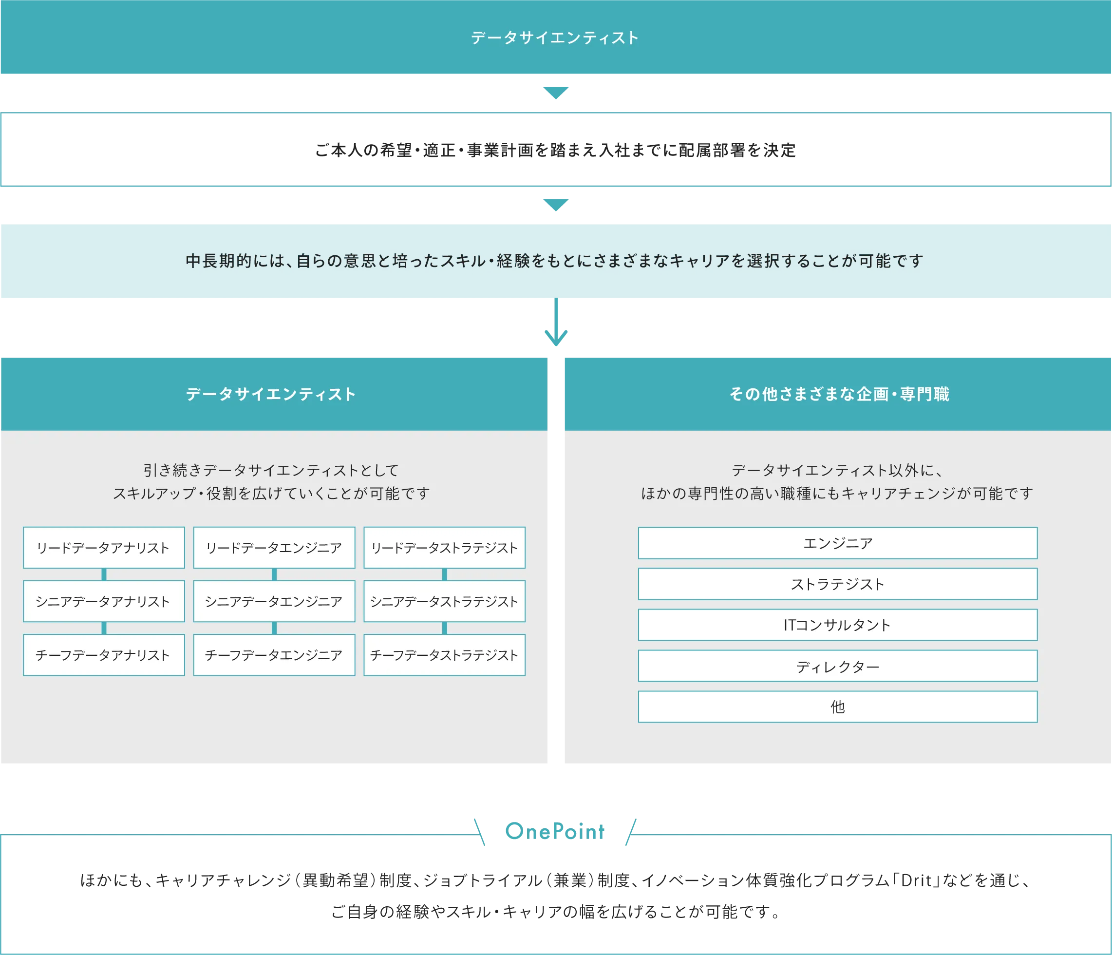 データサイエンティストのキャリアパス図。ご本人の希望・適性・事業計画を踏まえ入社までに配属部署を決定します。中期的には、自らの意思と培ったスキル・経験をもとにさまざまなキャリアを選択することが可能です。データサイエンティストとしてスキルアップ・役割を広げる、または、その他さまざまな企画・専門職で、データサイエンティスト以外のほかの専門性の高い職種にもキャリアチェンジが可能です。また、このほかにも、キャリアチャレンジ（異動希望）制度、ジョブトライアル（兼業）制度、イノベーション体質強化プログラム「Drit」などを通じ、ご自身の経験やスキル・キャリアの幅を広げることが可能です。
