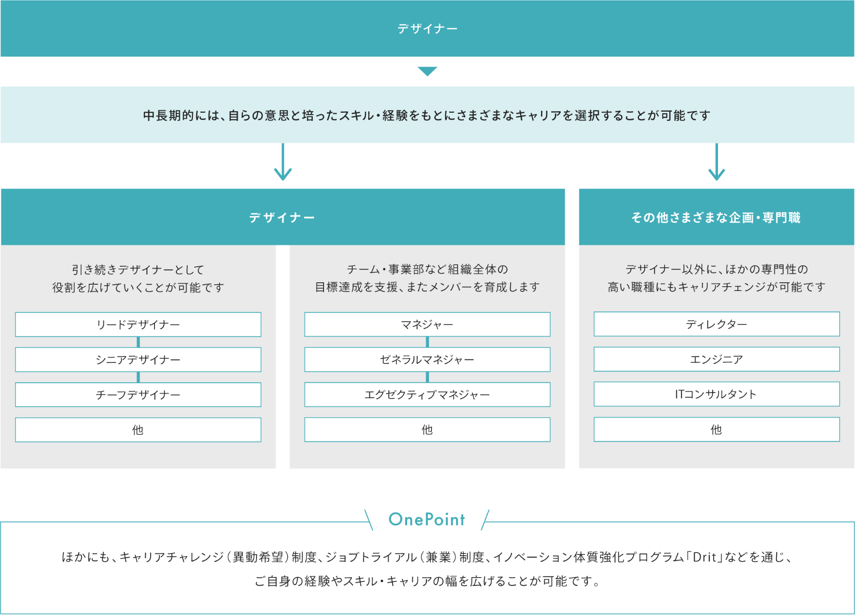 デザイナーのキャリアパス図。中期的には、自らの意思と培ったスキル・経験をもとにさまざまなキャリアを選択することが可能です。デザイナーとしてスキルアップ・役割を広げ、リードデザイナー・シニアデザイナー・チーフデザイナーを目指す、または、チーム・事業部など組織全体の目標達成を支援・メンバーを育成するマネジャーになる、またはその他さまざまな企画・専門職で、デザイナー以外のほかの専門性の高い職種(ディレクター・エンジニア・ITコンサルタントなど)にもキャリアチェンジが可能です。また、このほかにも、キャリアチャレンジ(異動希望)制度、ジョブトライアル(兼業)制度、イノベーション体質強化プログラム「Drit」などを通じ、ご自身の経験やスキル・キャリアの幅を広げることが可能です。
