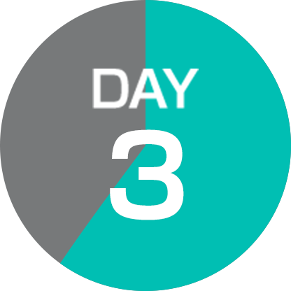 DAY 3